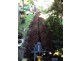 Berry NSW 2535