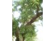 Berry NSW 2535