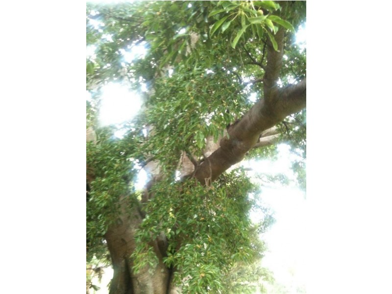 Berry NSW 2535