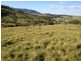 Berry NSW 2535