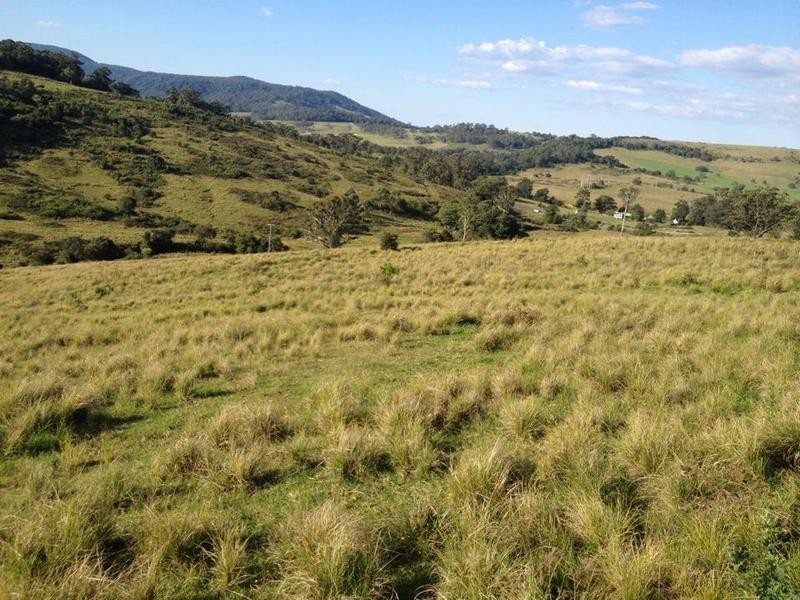 Berry NSW 2535
