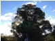 Berry NSW 2535