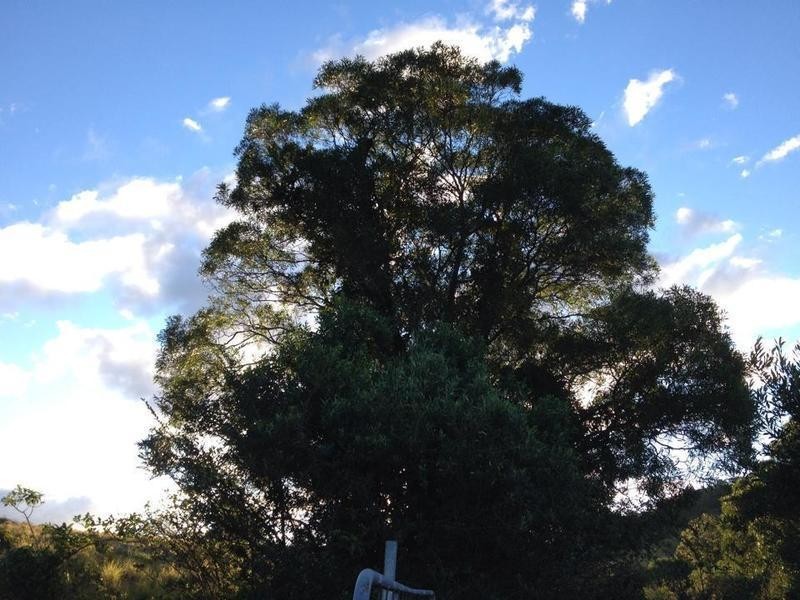 Berry NSW 2535