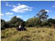 Berry NSW 2535