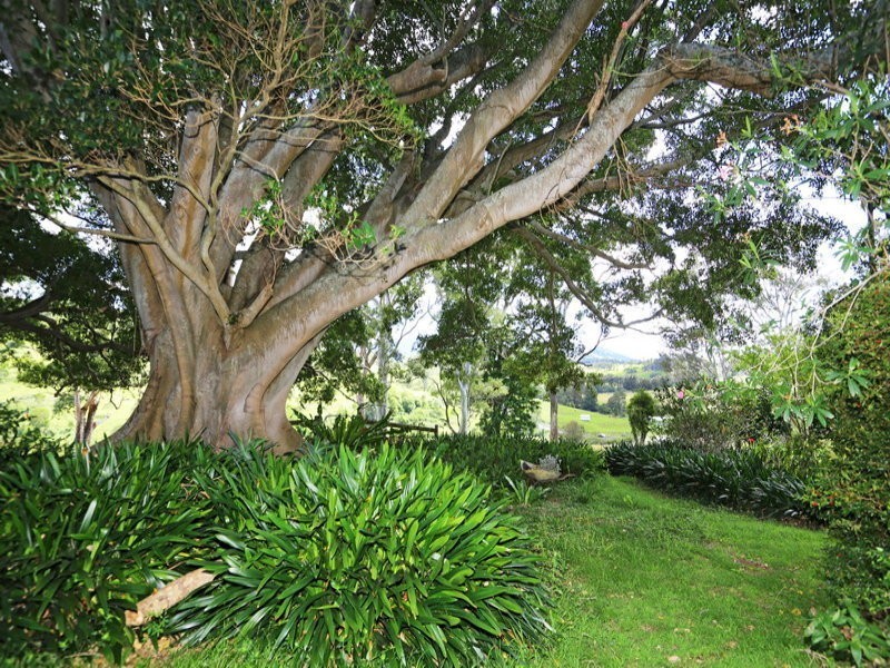 Berry NSW 2535