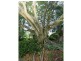 Berry NSW 2535
