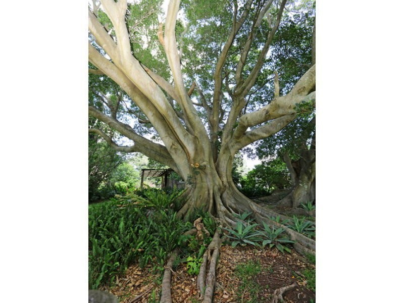 Berry NSW 2535