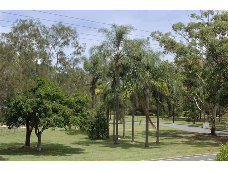 2/117  Laguna Avenue, Palm Beach QLD 4221