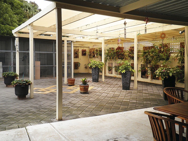 22 Mosterton Road, Elizabeth Park SA 5113