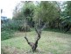 37B ST JOHNS AVE, Mangerton NSW 2500