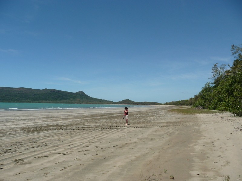 3 Sturgeon Street, Ball Bay QLD 4741