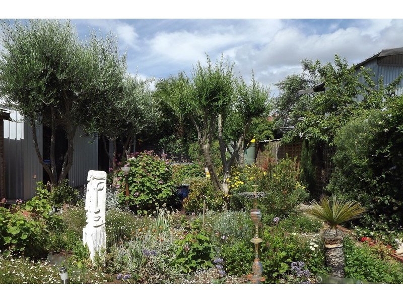 62 Amherst Ave, Trinity Gardens SA 5068