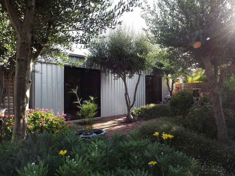 62 Amherst Ave, Trinity Gardens SA 5068