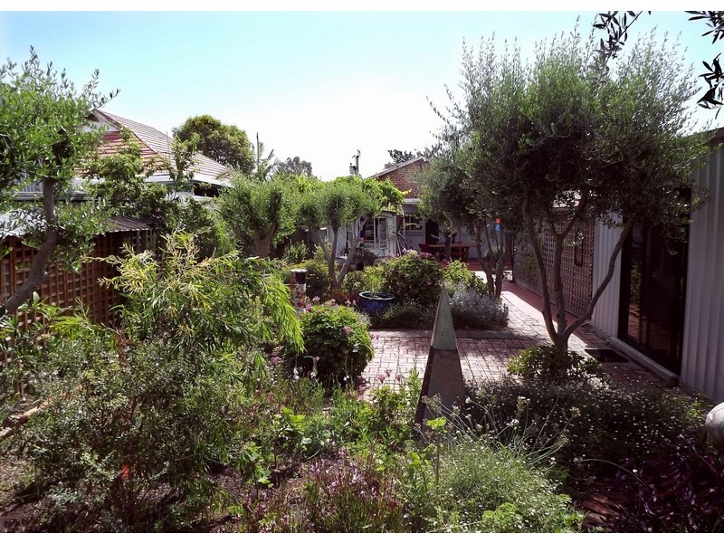 62 Amherst Ave, Trinity Gardens SA 5068