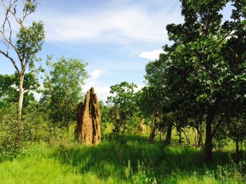 430 Peacock Road, Darwin River NT 0841