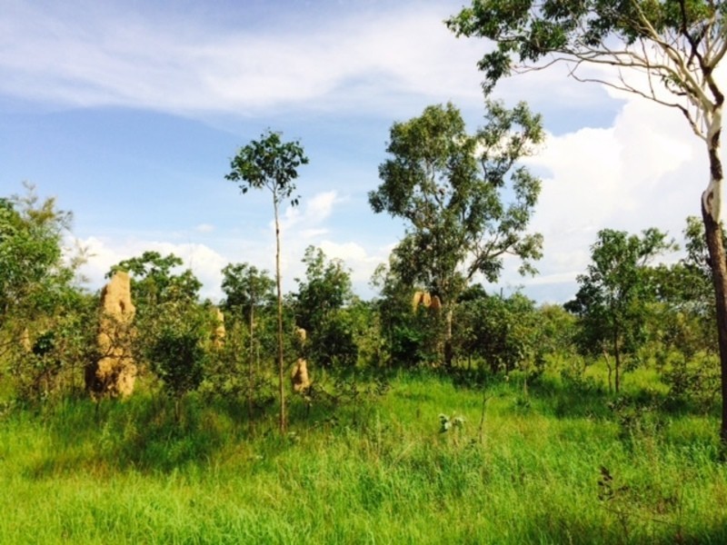 430 Peacock Road, Darwin River NT 0841