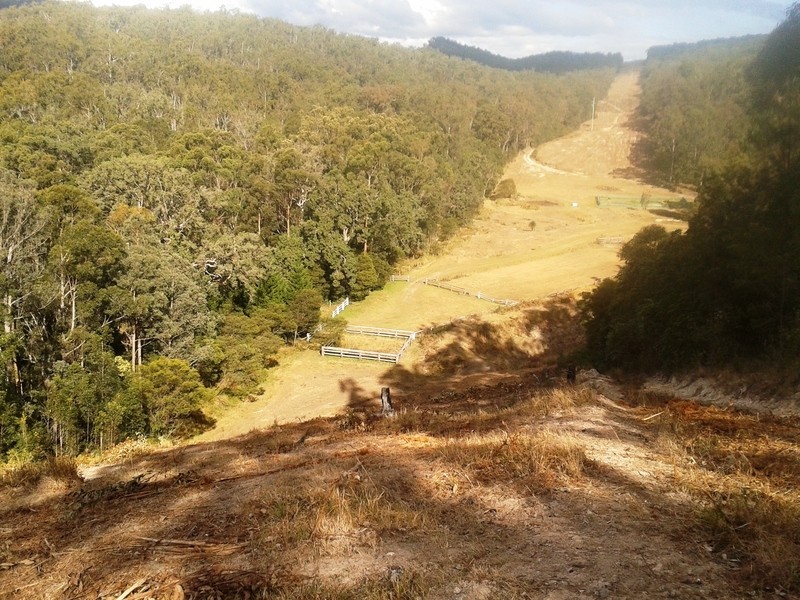 3621 Armidale Road, Nymboida NSW 2460