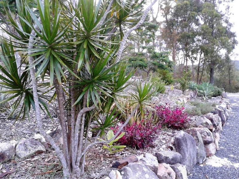 3621 Armidale Road, Nymboida NSW 2460