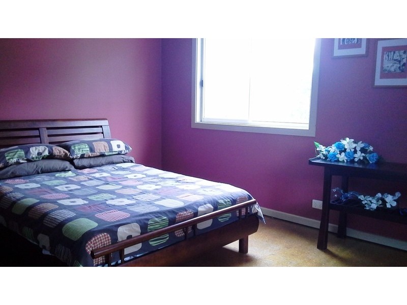 3621 Armidale Road, Nymboida NSW 2460