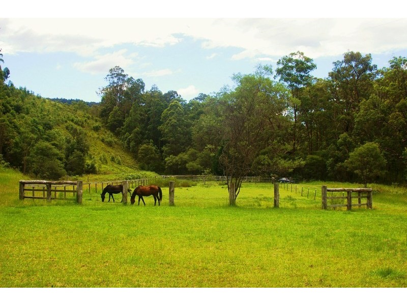 3621 Armidale Road, Nymboida NSW 2460