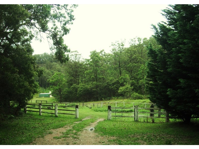 3621 Armidale Road, Nymboida NSW 2460