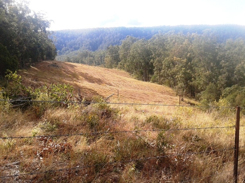 3621 Armidale Road, Nymboida NSW 2460