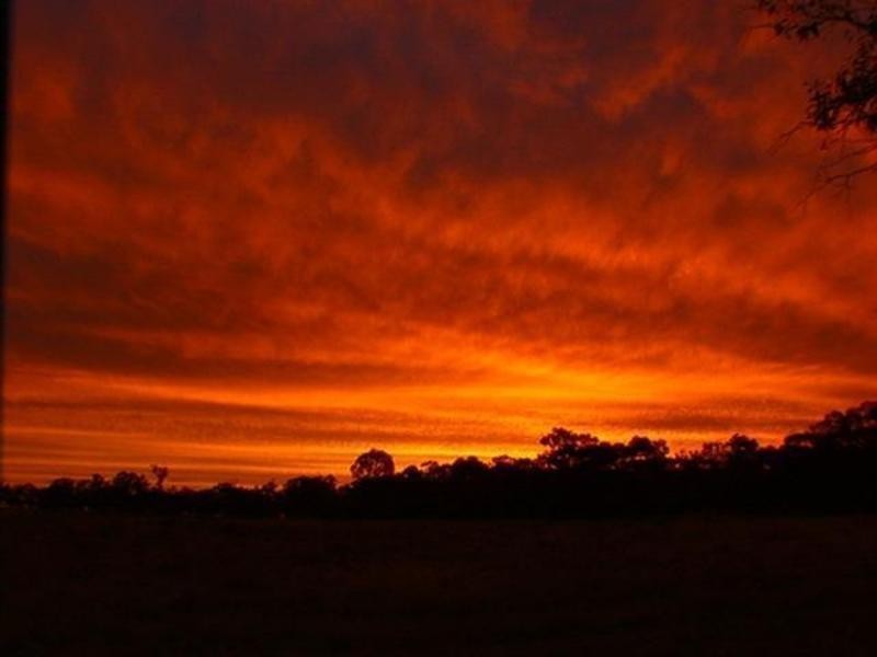 311 Burnt Flat Road, High Range NSW 2575