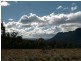 311 Burnt Flat Road, High Range NSW 2575