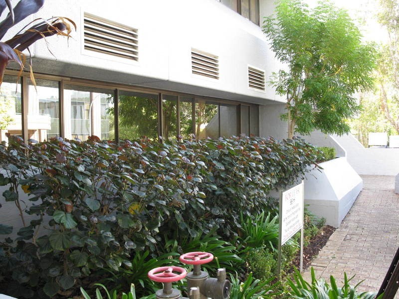 Unit 8/19 Outram Street, West Perth WA 6005