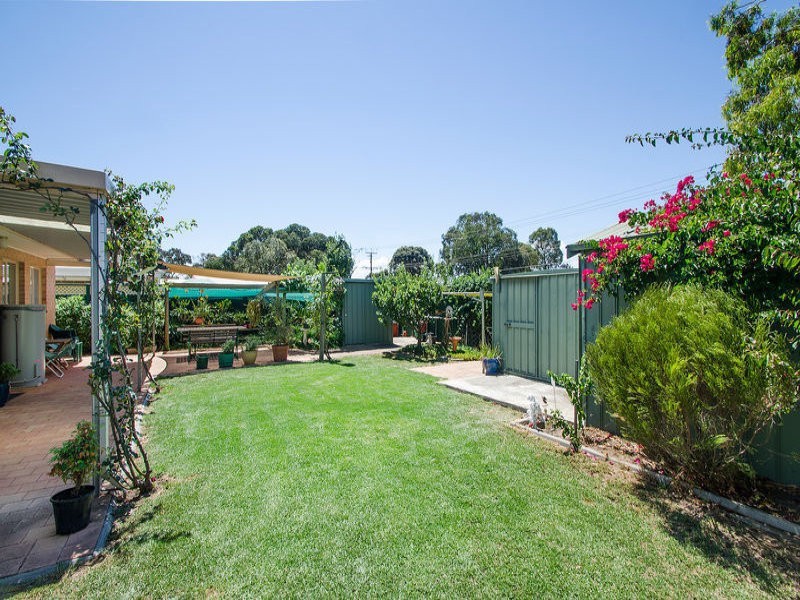 6 Nicholas Road, Marion SA 5043