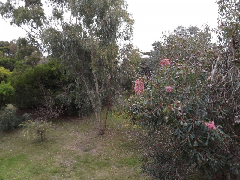 19 King Street, Ventnor VIC 3922