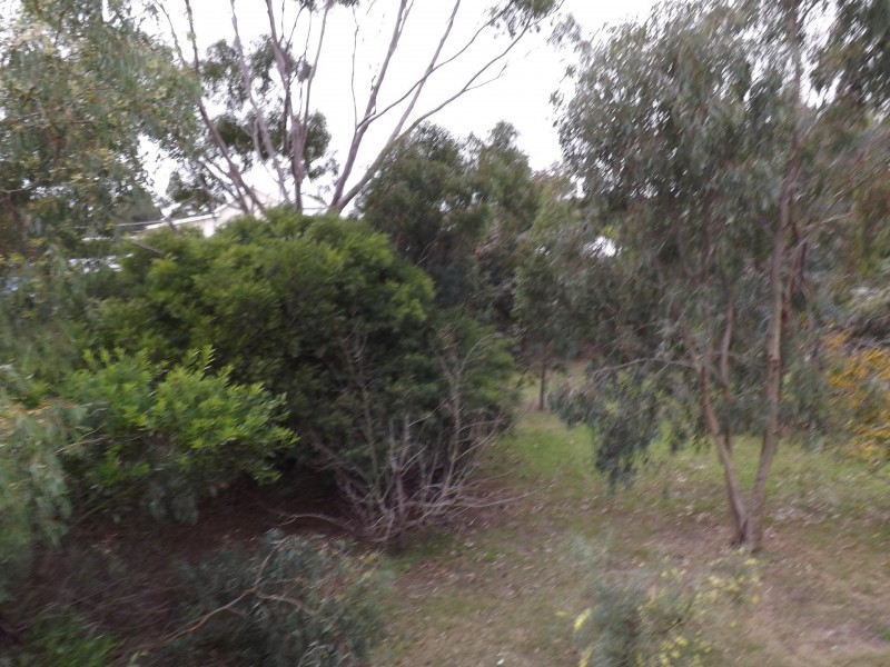 19 King Street, Ventnor VIC 3922
