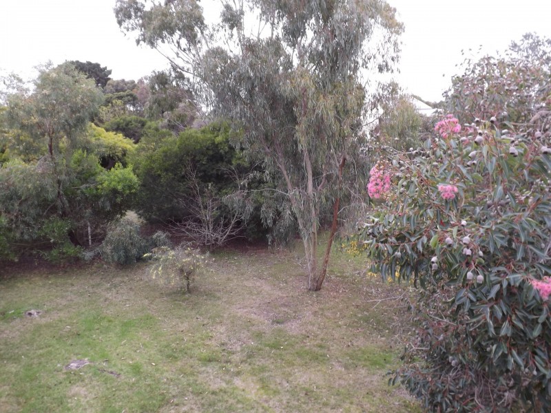 19 King Street, Ventnor VIC 3922