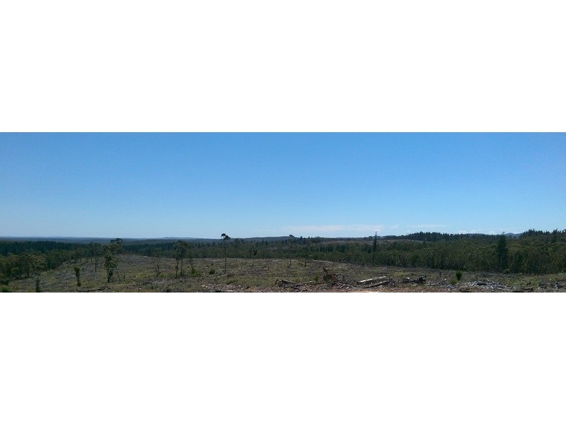 Braidwood NSW 2622
