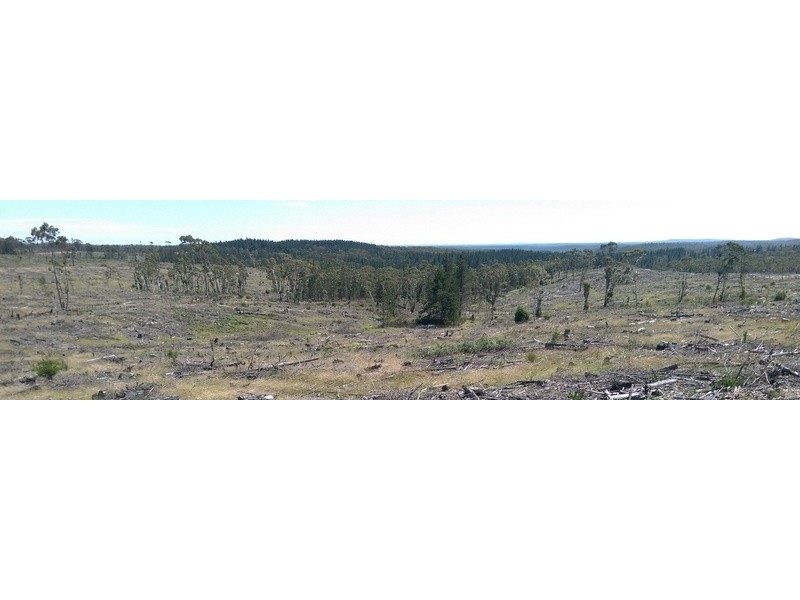 Braidwood NSW 2622