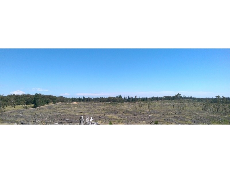 Braidwood NSW 2622