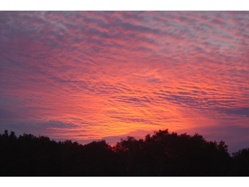 92 Blackall Range Road, Woombye QLD 4559