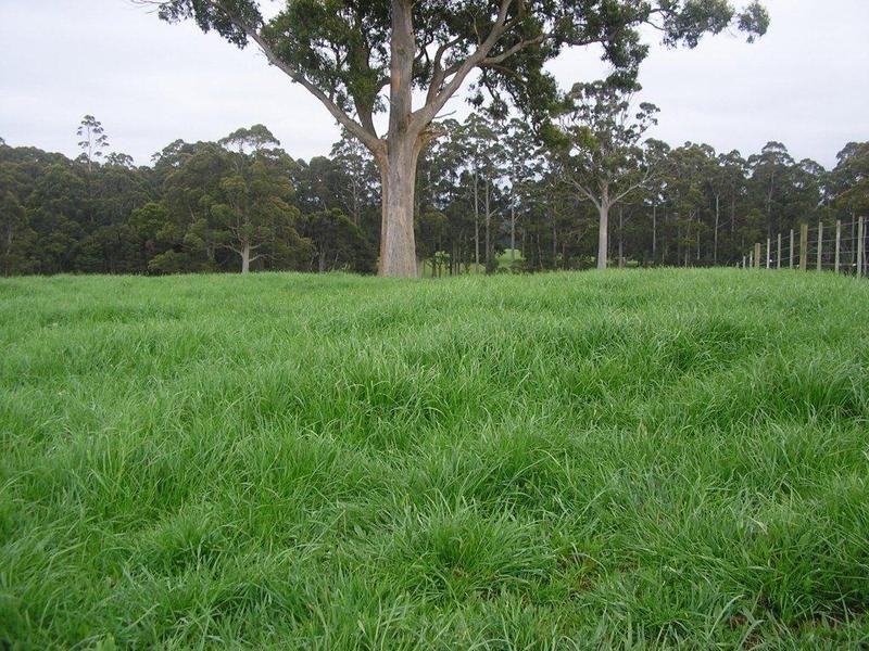 30 Menne Road, Highclere TAS 7321