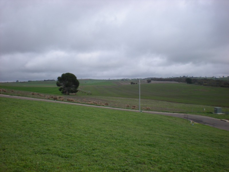 16 Kerslake Court, Strathalbyn SA 5255