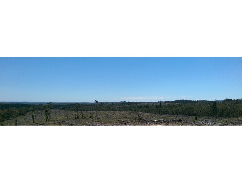 Braidwood NSW 2622