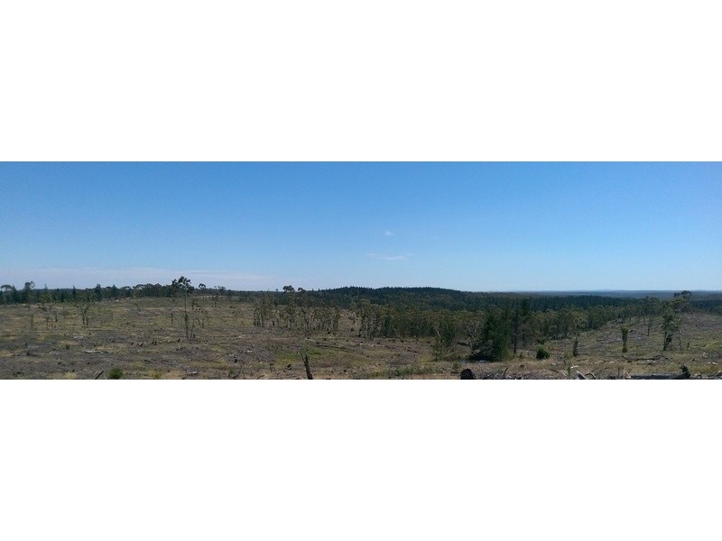 Braidwood NSW 2622