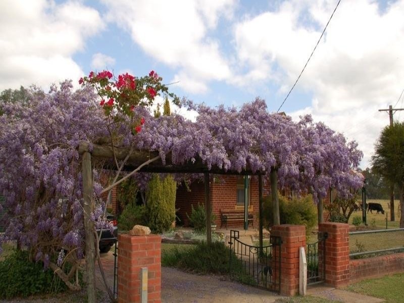 1 South St, Culcairn NSW 2660
