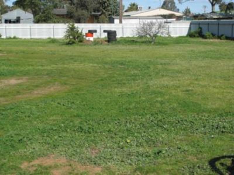 35 Morgan St, Uranquinty NSW 2652