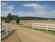 Lot 2 Olympic Hwy, The Rock NSW 2655