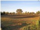 0 Emily Street, The Rock NSW 2655