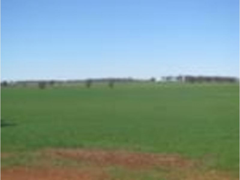 0 Corner Coopers Lane & Wagga Road, Coolamon NSW 2701