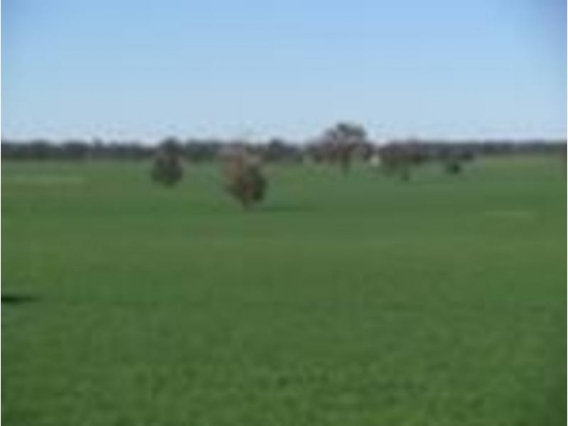 0 Corner Coopers Lane & Wagga Road, Coolamon NSW 2701