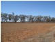 0 Dullah Road, Ganmain NSW 2702