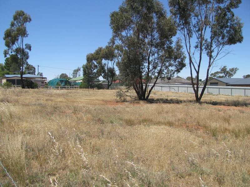 Lot 1038 Bruce Street, Coolamon NSW 2701