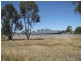 Lot 1038 Bruce Street, Coolamon NSW 2701